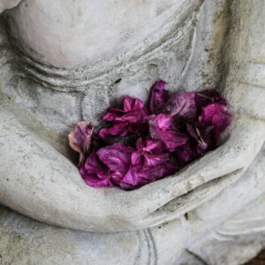 Meditation and Mindfulness